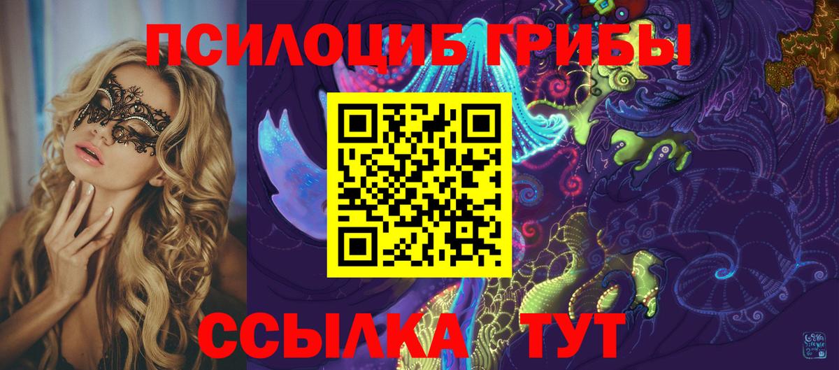Новороссийск  Галлюциногенные грибы Cubensis  Вход с VPN 